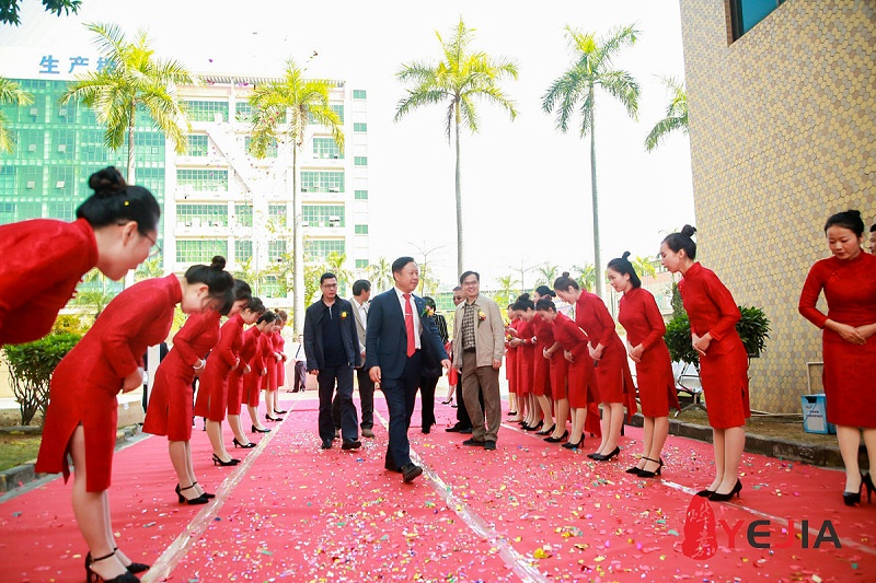 光电3044永利光电科技股份有限公司