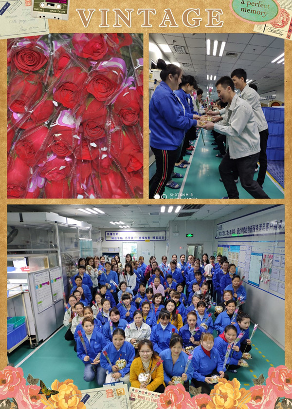 3044永利光电女神节