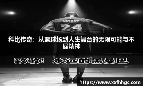 9球直播